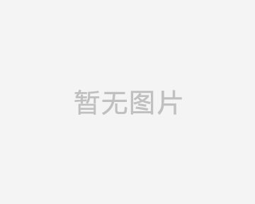 社會(huì)責(zé)任報(bào)告(寶偉）-2024年度